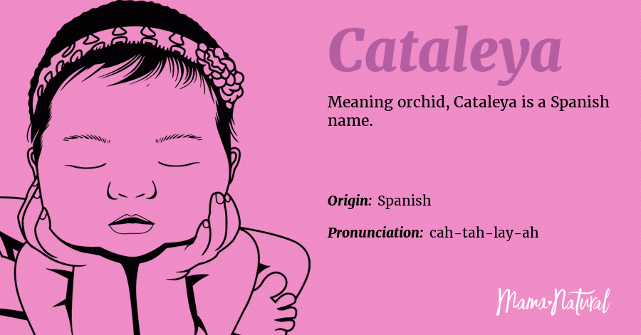 Cataleya Name Meaning Origin