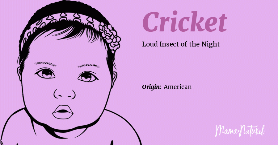 Cricket Name Meaning Origin Popularity Girl Names Like Cricket Mama Natural