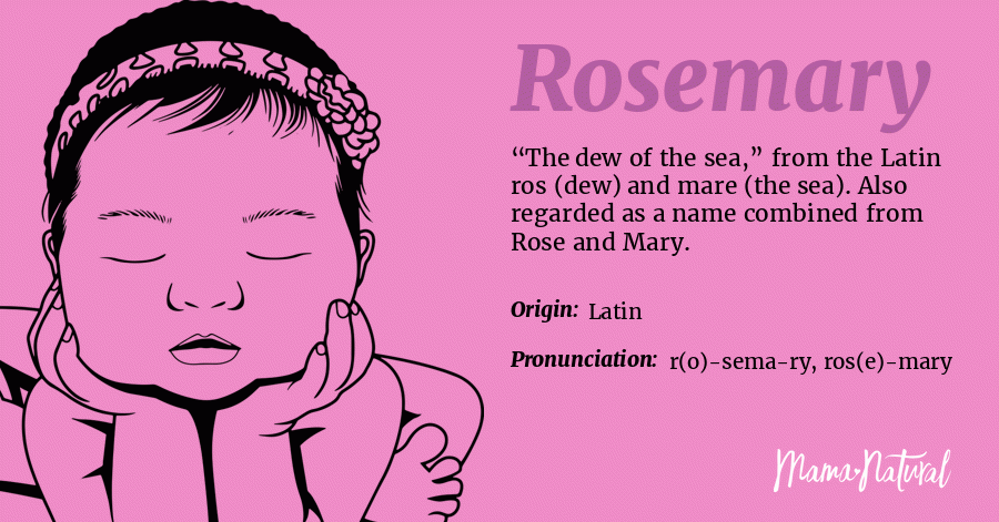 Rosemary Name Meaning Origin Popularity Girl Names Like Rosemary Mama Natural