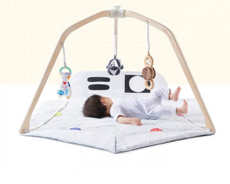 Lovevery Play Gym for Baby